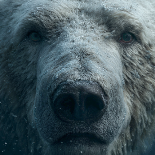 White Bear Effect – Why Trying Not to Think Fails