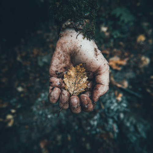 Control: Why Letting Go Might Be Your Real Power