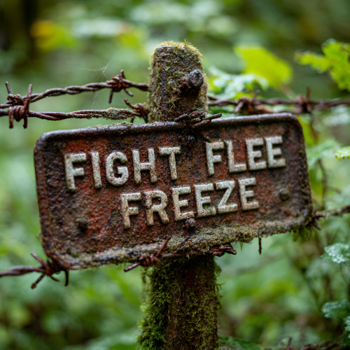 Rustic sign with trauma response 'Fight Flee Freeze' text on a barbed wire in a forest 